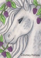 Blackberry horse